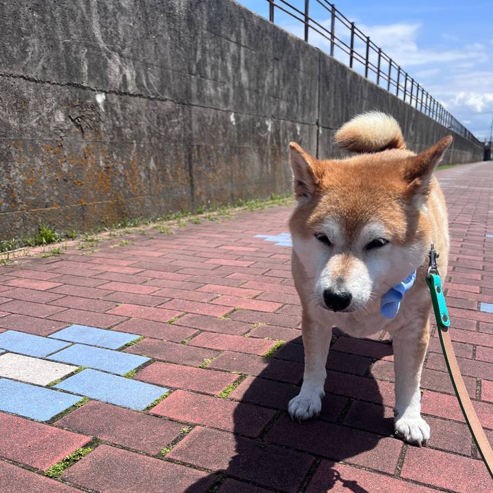 72ca1eaa a7b1 4a99 a081 3d37ac645ebf 1717044976737