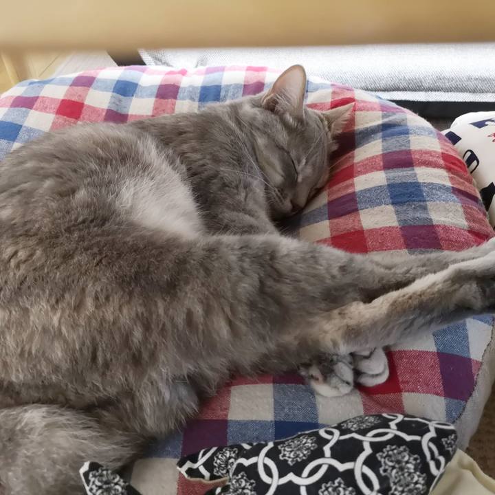 72ca2c47 afb4 4632 8529 0993e4446e81 1557583133980