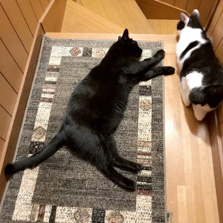 72ca2e02 0e9b 4070 b1ee fd4cfe26bab6 1537925100161