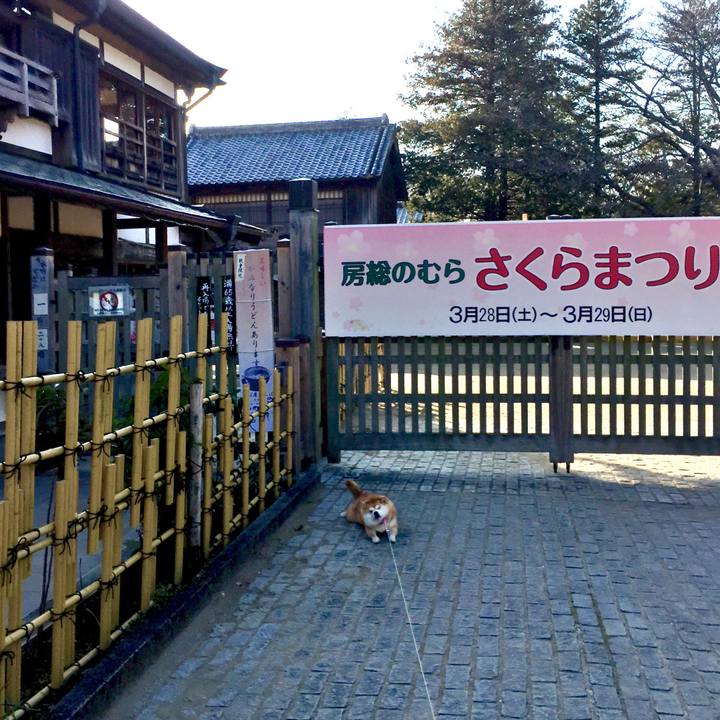 72ca3b8f 374e 45f4 a841 3fb01f55c57f 1582516783024