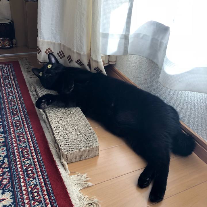 72ca7252 4b71 4325 a3c5 8ea028705c46 1540091064178