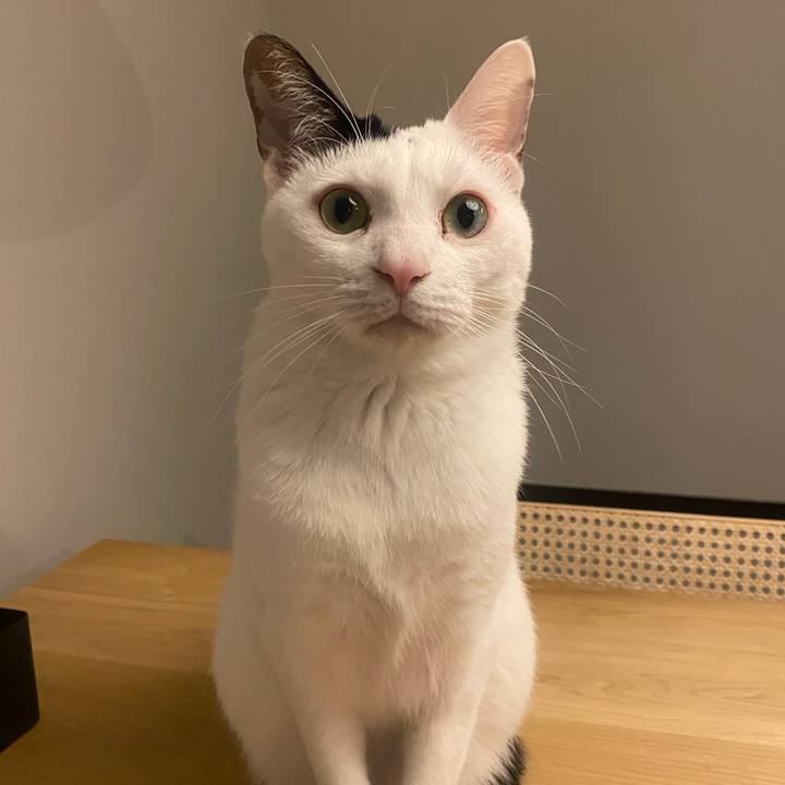 72cac3e7 3c8d 480e 9eaf 9193f740799a 1739188600737