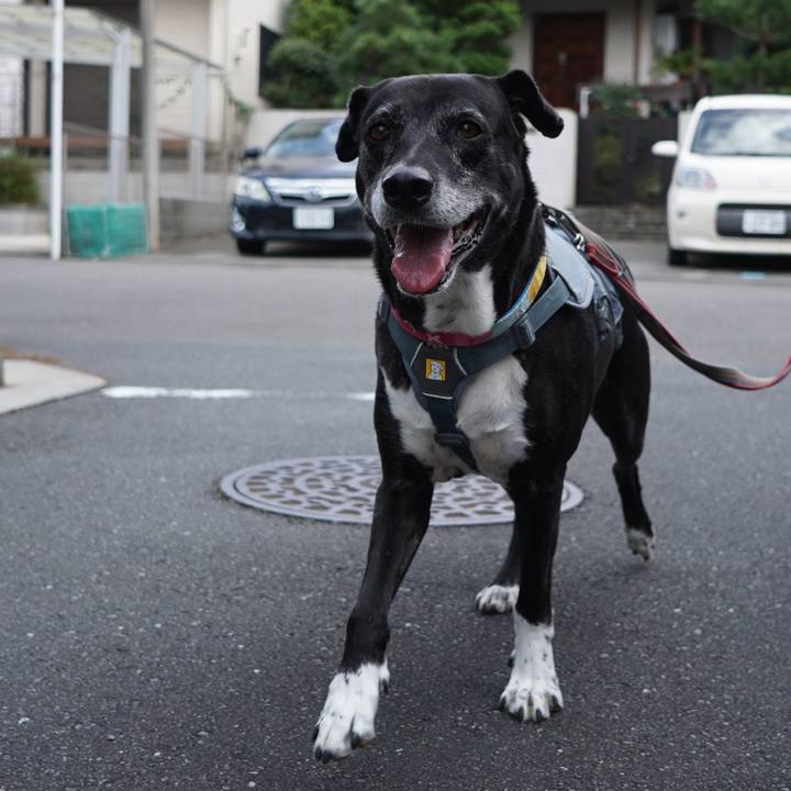 72caf8fb 4781 42a6 9d1f 4ade5ed33207 1760750635765