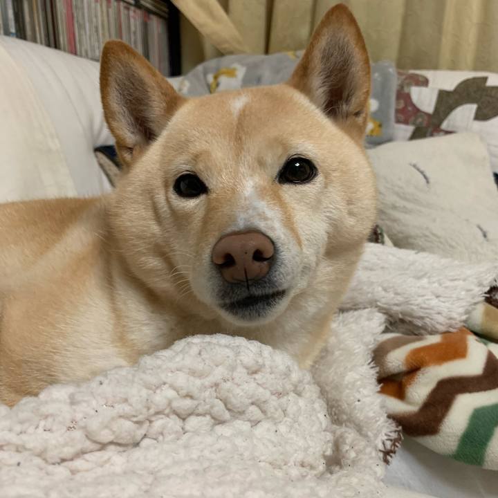 72cb112c 3447 4de0 acde 99e3ac52b045 1640257632148