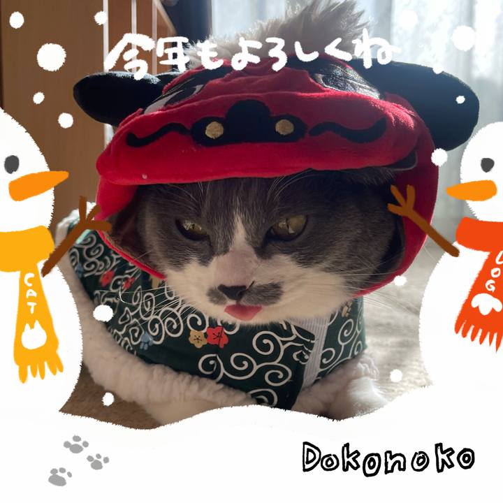 72cb191f 3863 47ee 9182 23f67d87ac88 1704100482689