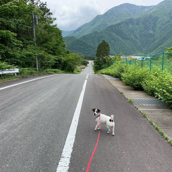 72cb6558 f3d0 4316 af66 5978422a9d52 1590899078612