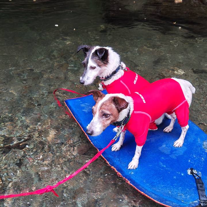 72cb80b7 a0fb 4a66 a04f d16e6eae4488 1754473128275