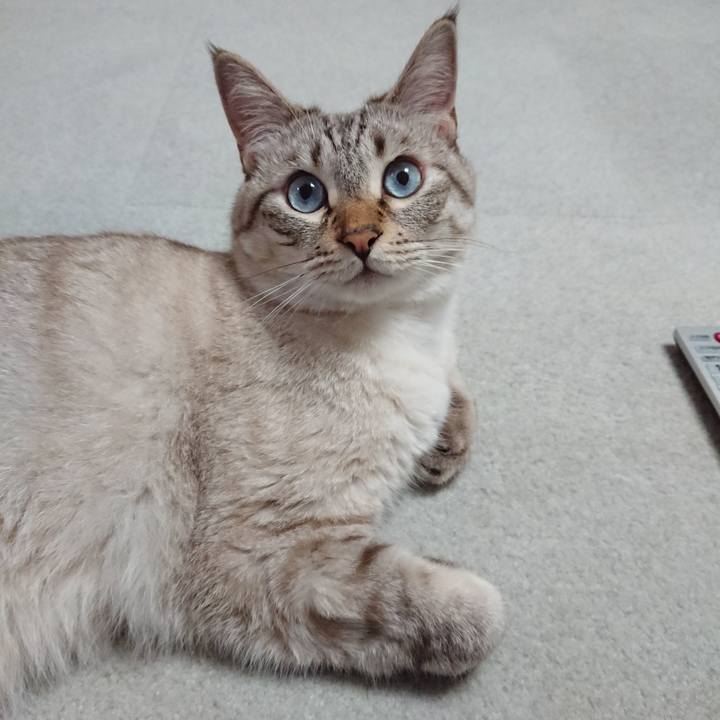 72cb9738 3991 4180 b251 4ff4b5a89f79 1565965045506