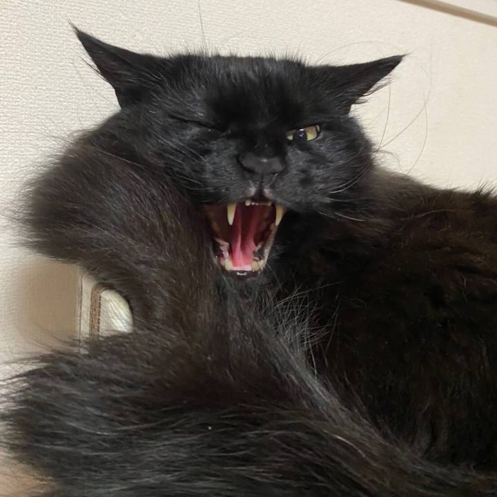 72cba3c6 0608 445d 82aa 2ab246993ea0 1583078019076