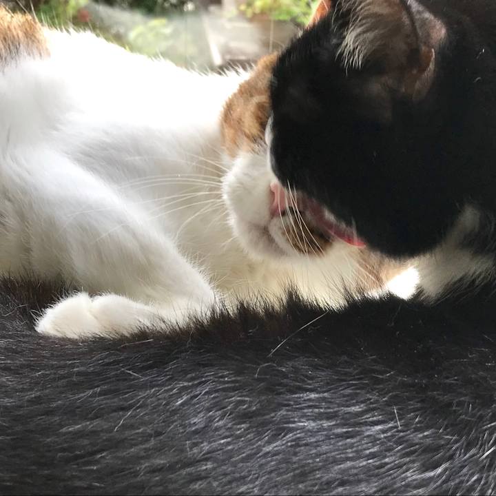 72cc09a0 0b49 42c9 8de0 c3efe2931709 1568086682490