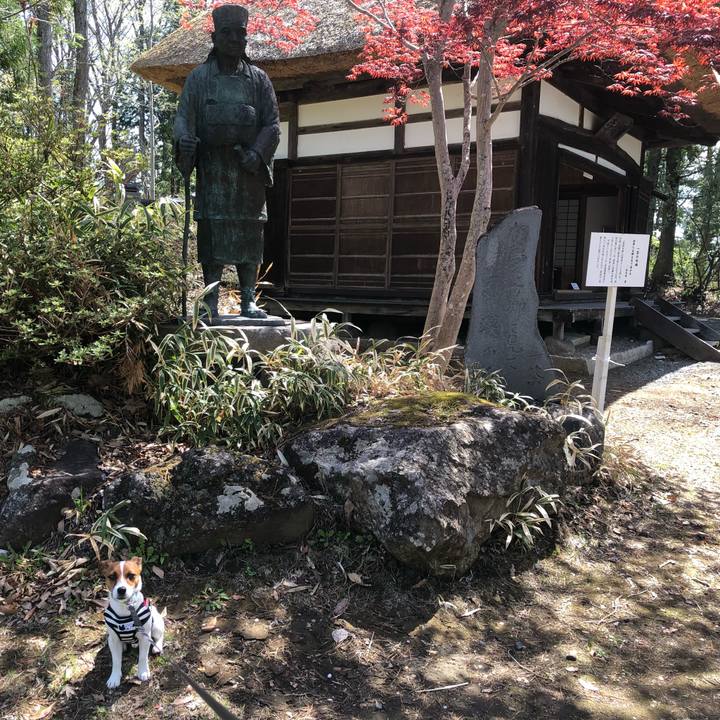 72cc8ed5 f658 40cb bff3 a39c5b24c9f9 1524889547464