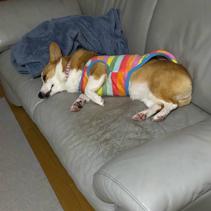 72cca14c 6458 49ad 81f3 6cef8d93f63c 1765558587562