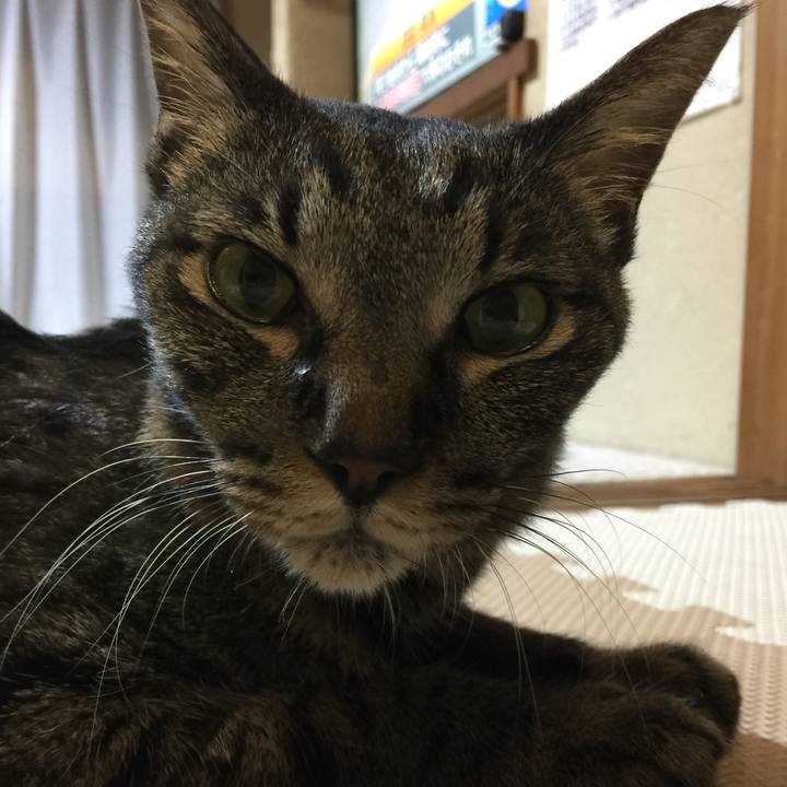 72cd055b eed6 4296 b141 c140c1569ae9 1535021878756