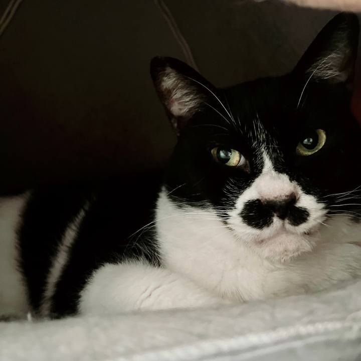 72cd1f27 b1c9 470e 8e2a bf2002257494 1675559363531