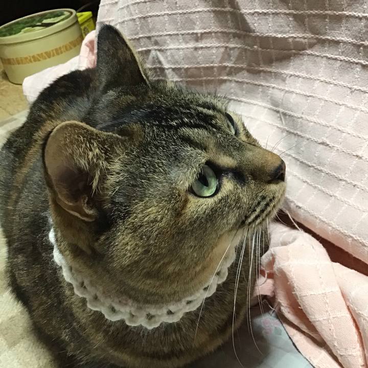 72cd3eb8 3a93 4c99 869b e489cef7c367 1739878251850