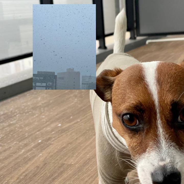 72cd6939 ca5d 4bba ba8a 2fc3746e76f5 1646549862210