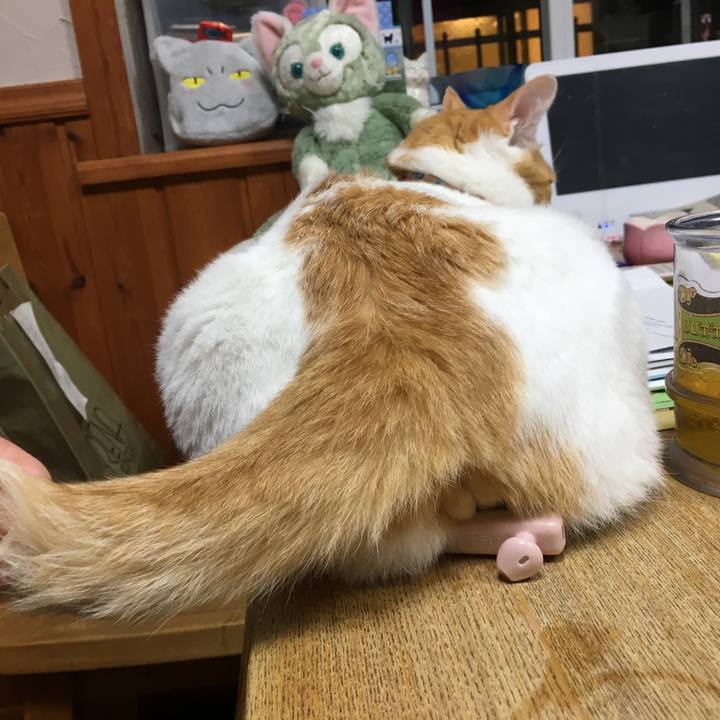 72cd7d70 c46f 4c8c 8b01 f68cd49a5c9c 1535028290811