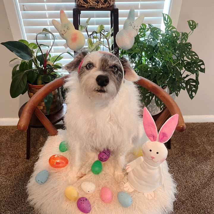 72cd868d c8d4 4cc2 8169 836500e6cd7b 1711838428926