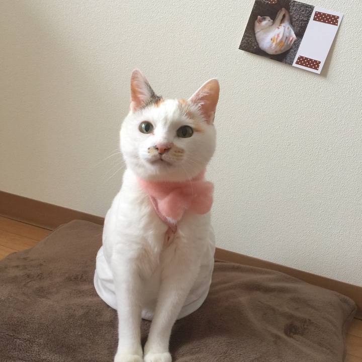 72cd9a7c dd97 4b2d 8274 413a466b6f41 1518433079625