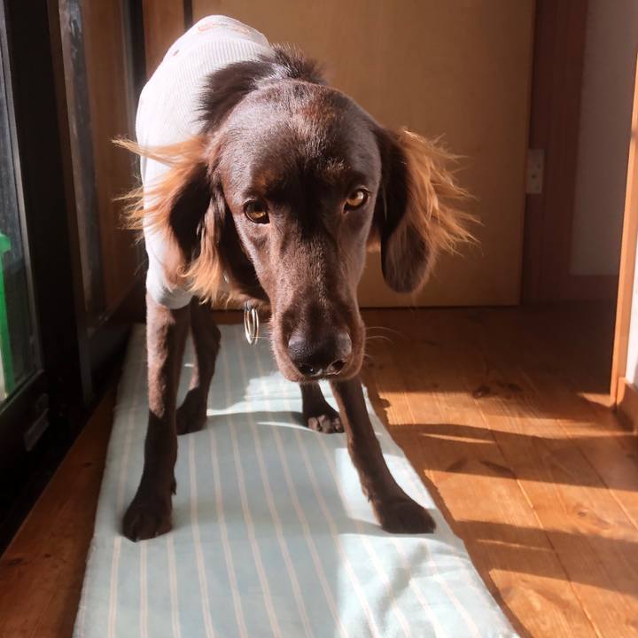 72cdde05 2b6d 4620 a533 35b16216bbc6 1579427177128