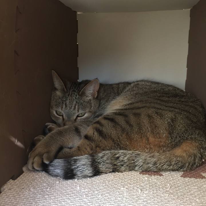 72cde25f 36bb 482c bd29 4d443cf9ca72 1521358140456