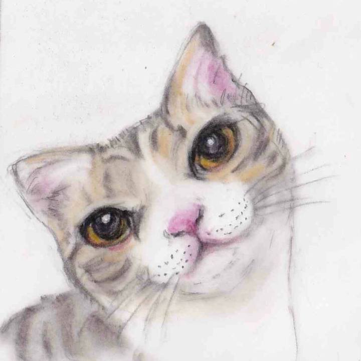 72ce1057 b5b5 4e06 859c e45e3d709535 1655562314124