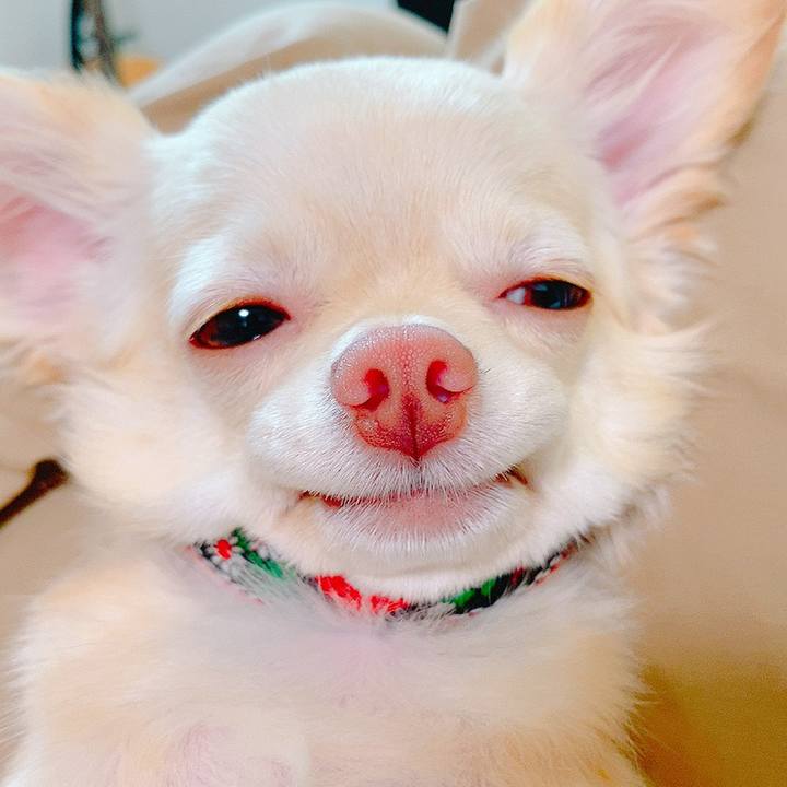 72ce13e5 c91f 40bc 8312 93297997c0a2 1629809375532