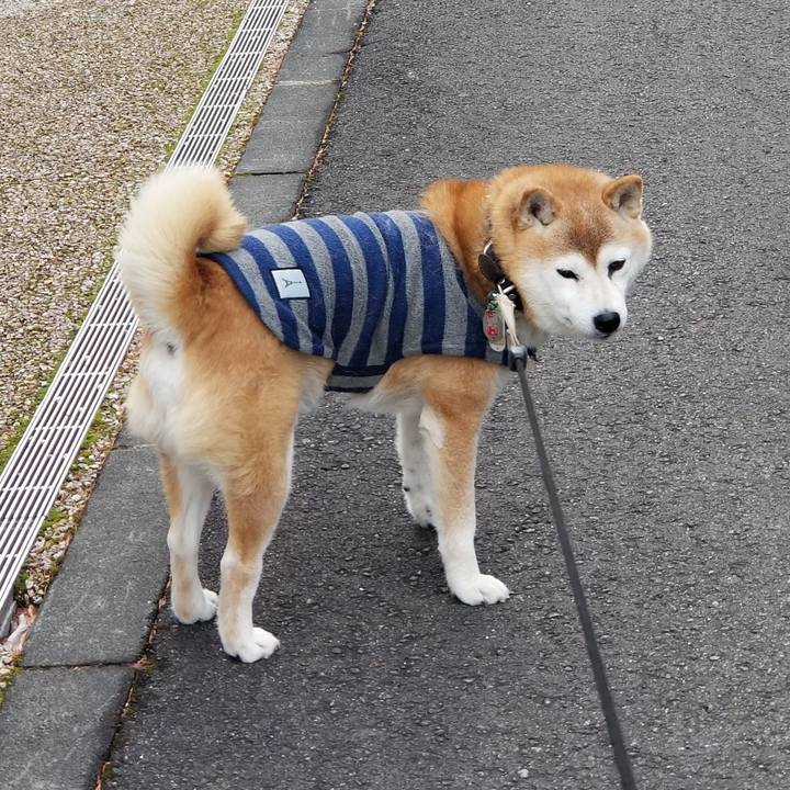 72ce3ed9 159d 4282 9e31 9a56b344feaf 1704255439486