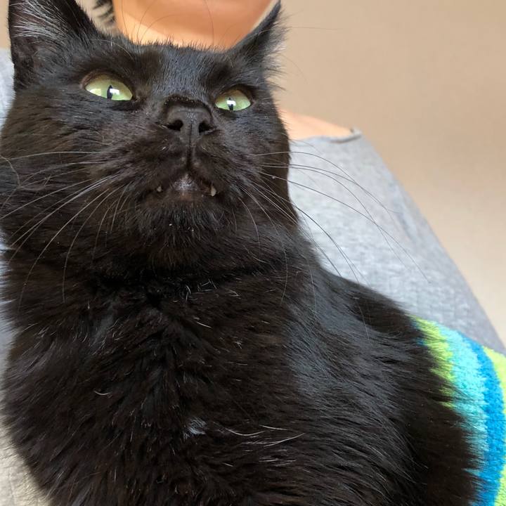 72ce85f7 34f4 434b a01b 0f6a0ea13ba9 1587332193487