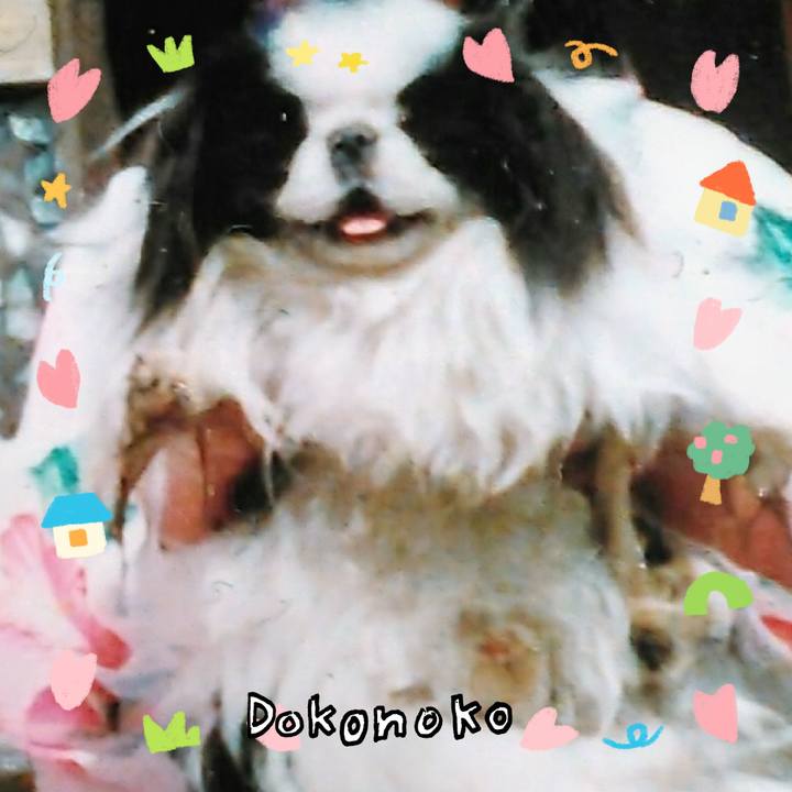 72cecb9c 75a4 4904 a307 feb9a8958cec 1741126589576