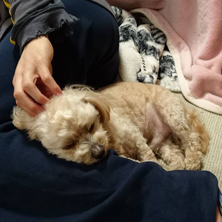 72cf2c92 015f 4f0e b692 8521192caf5d 1587093451412