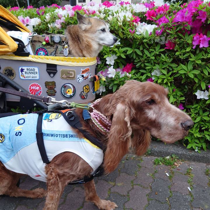 72cf6939 71eb 442f 9349 977824c451c1 1713610123225