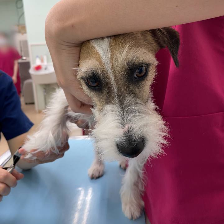 72cf6bd3 c991 4106 a36a 86e63f2a674a 1624536639523