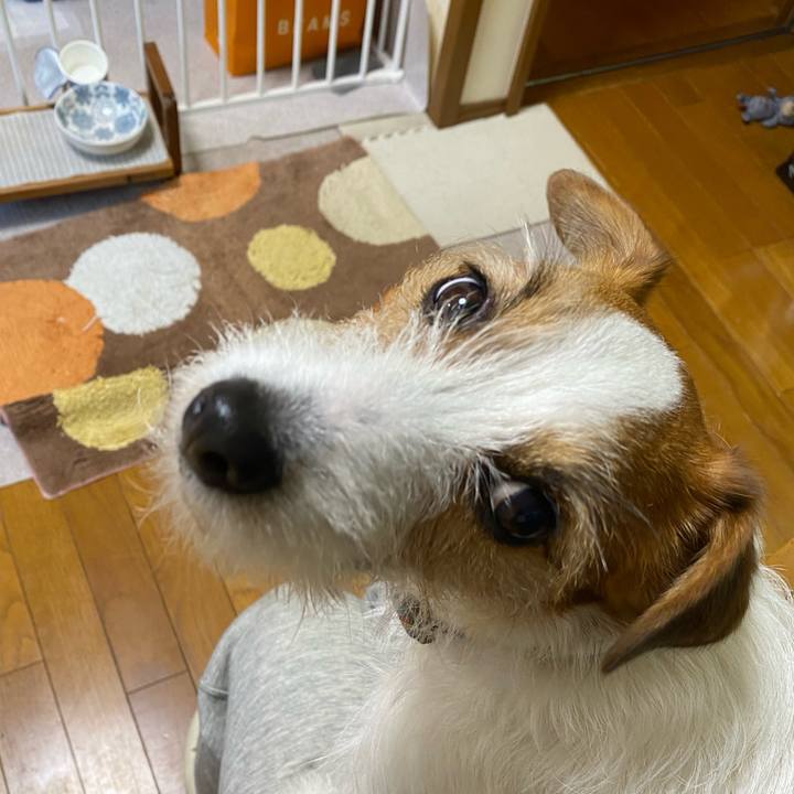 72cf75ed c526 47dc b1e4 42dda7966649 1741818993696