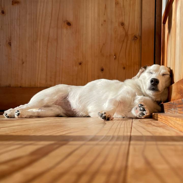 72cfe1f0 7f7c 497e 84da 91911381d1f4 1764375161957