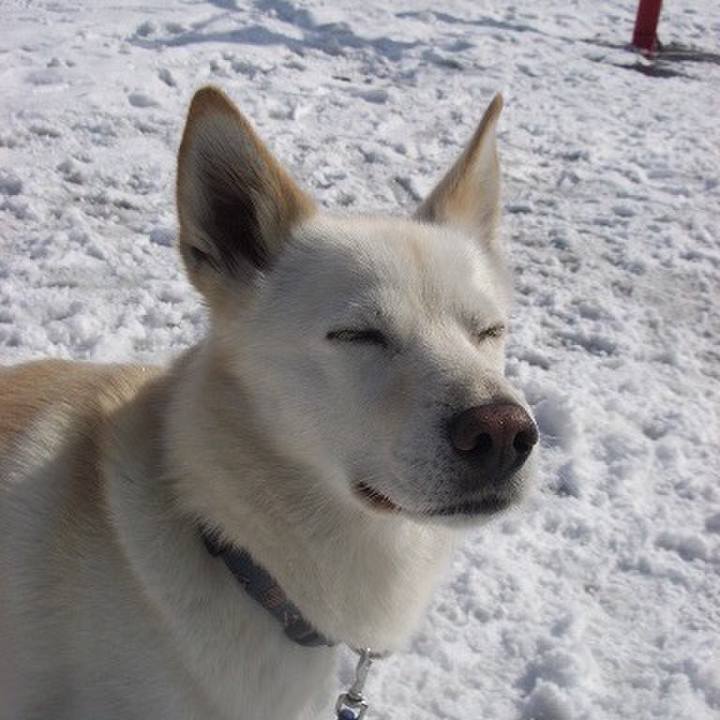 72d0661d fc7b 44a6 aaf3 98cba7f7372a 1512650859403