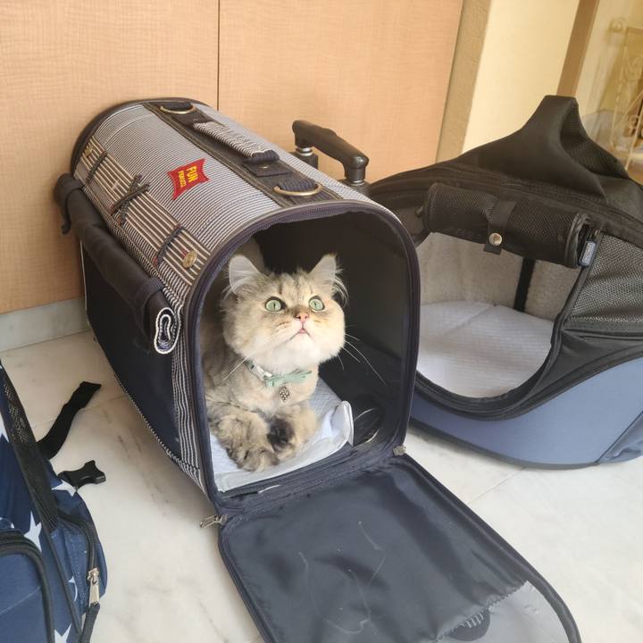 72d06a47 cb38 448e 893a d3d3aa627598 1624755490202