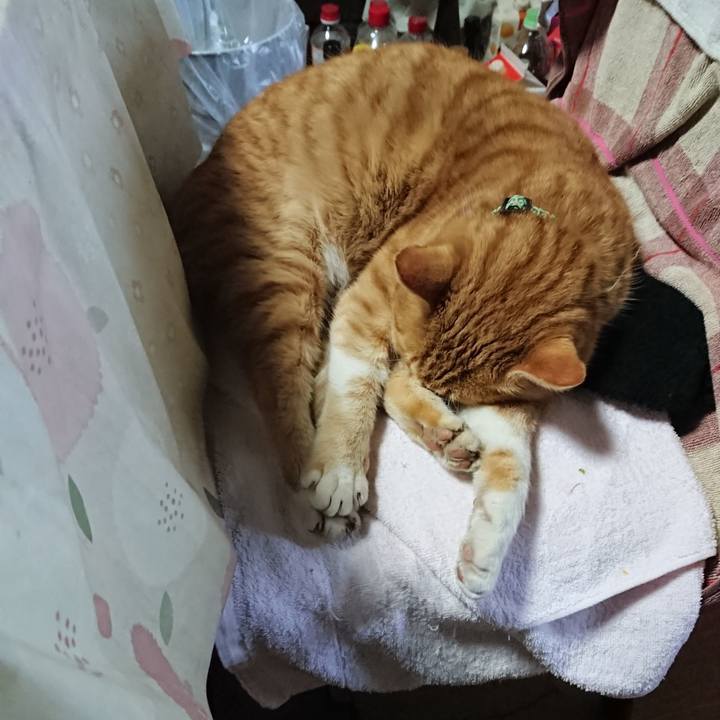 72d0d458 f098 424d bcbd 3a1e1f2c0756 1581147526230