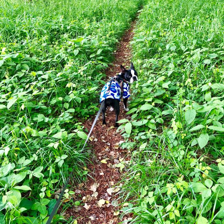 72d0d503 9bd2 4177 b9bf 4f256f593c05 1525851063348