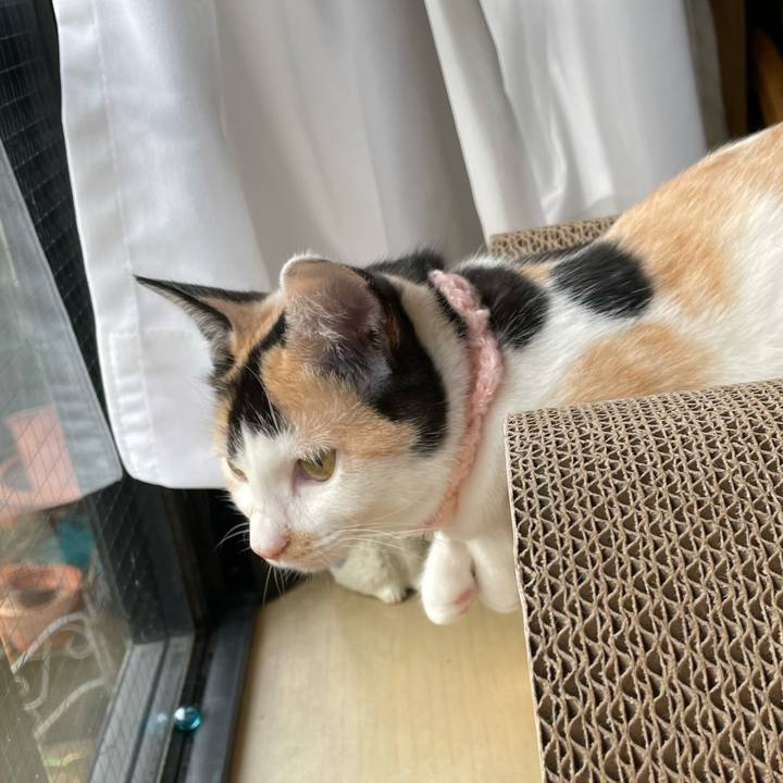 72d11825 fff5 4dcb 991a 784de09dd1b4 1667777839415