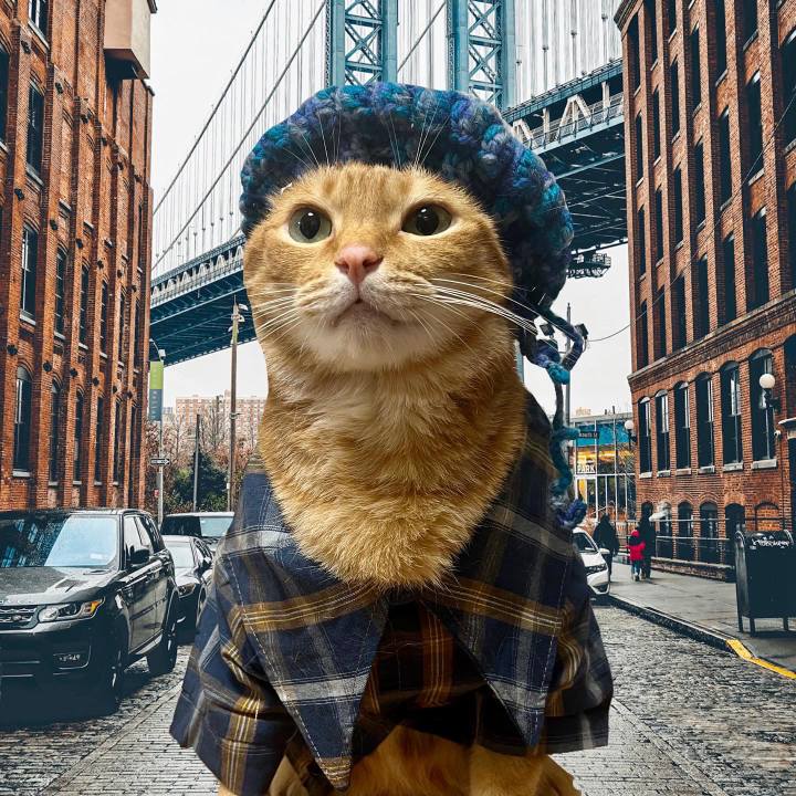 72d127b9 c44f 426a 82e2 28489d5276db 1663846710607