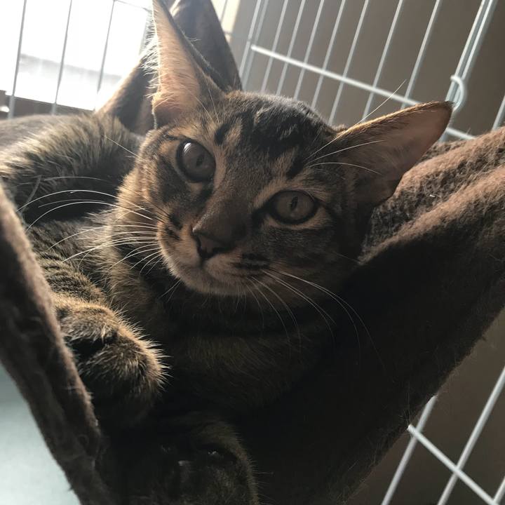 72d15310 2ab3 4589 ad18 b3737f55ab0c 1536723081874