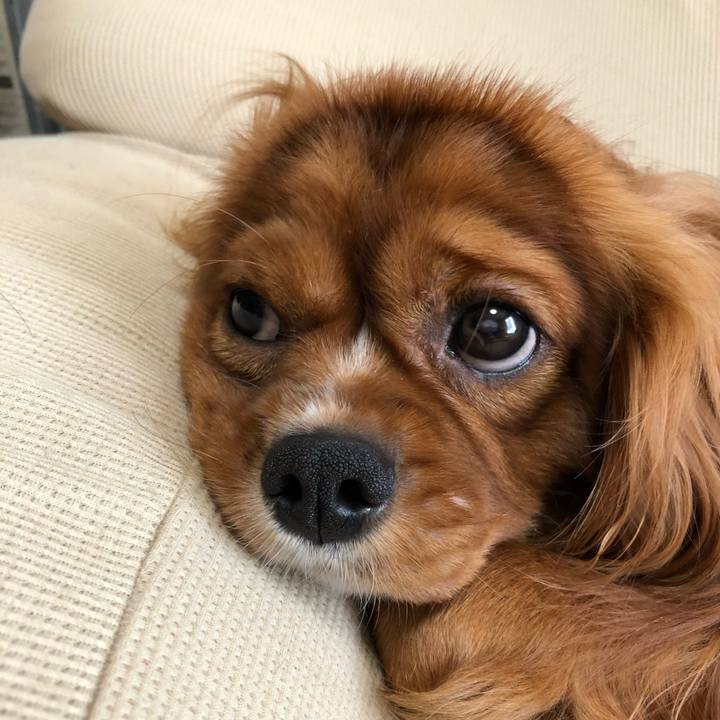 72d15962 f1b8 4581 a362 ec43509b1f73 1565130414296