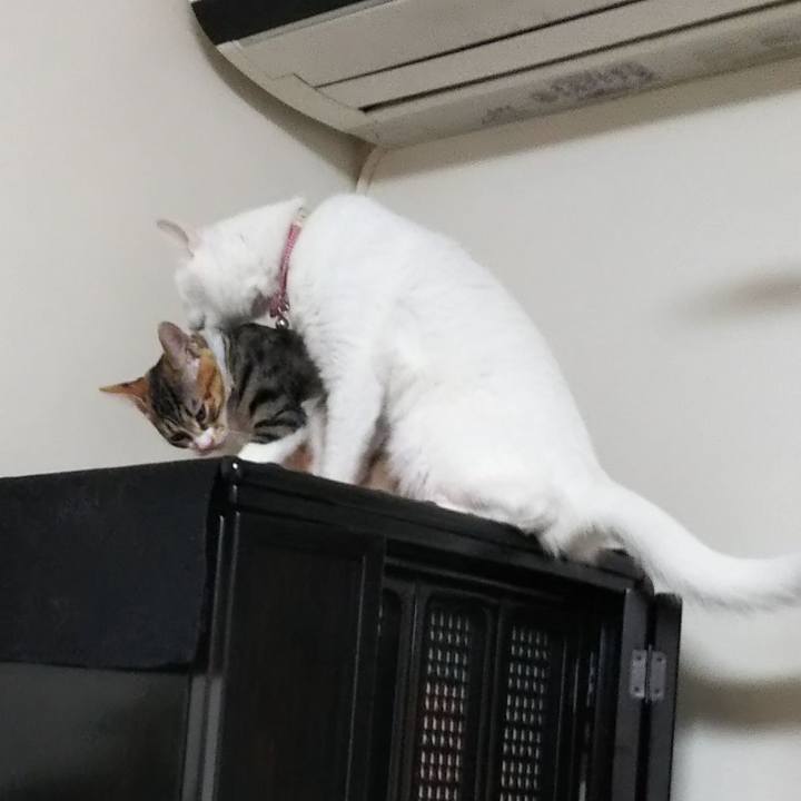 72d15a1b 0827 4981 8d36 aa3bef0b4bf7 1629196793824