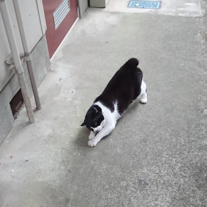 72d17855 a779 4405 94ca bc092ad4d18d 1679386227877