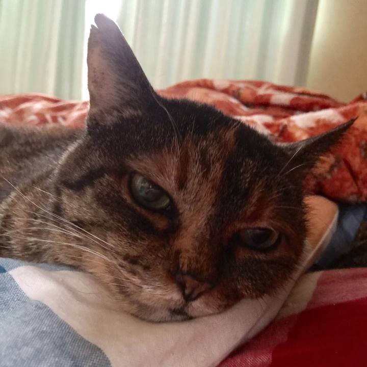 72d198cd 3b85 4bd5 81f6 f653d7d2b61f 1521501394418