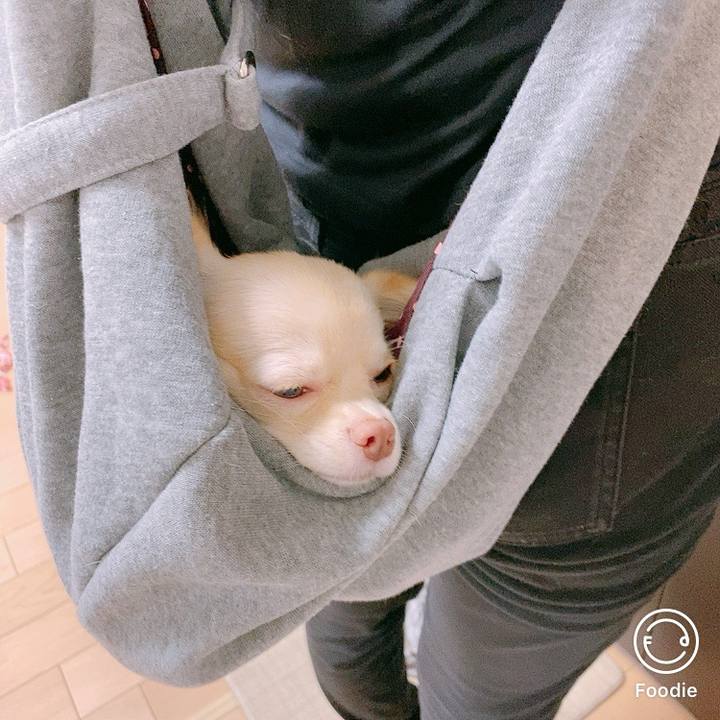 72d1bd6c f45b 4025 a8de 9f1d0e0c6434 1598331440236