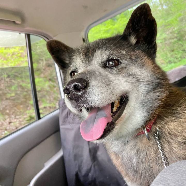 72d1dec4 ed9f 47b4 bef2 6f605543a2c4 1714181120126