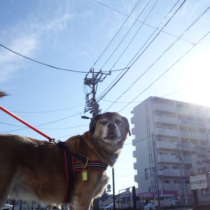 72d23354 d034 4b69 947d 8ba69bc124a5 1542415396776