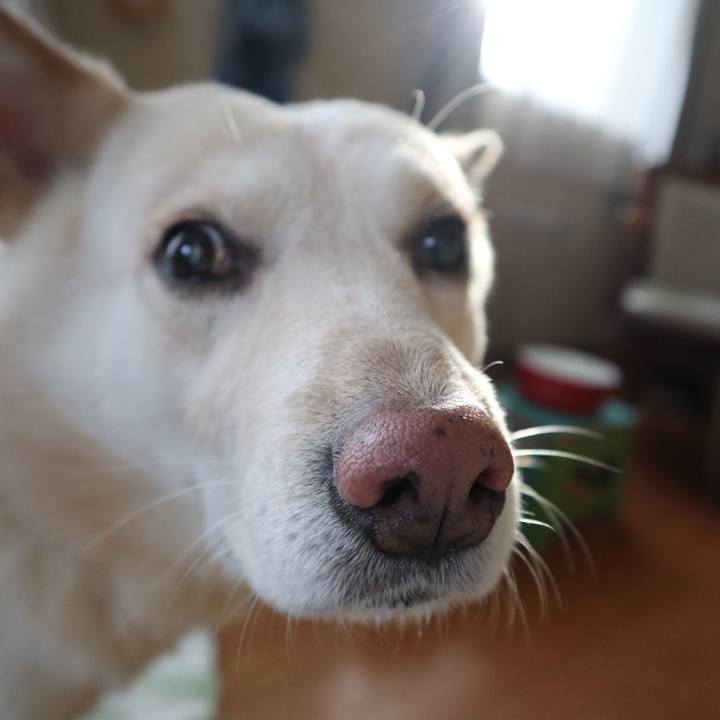 72d251c3 3be0 4ca7 b12f 93deec48f281 1517299893719